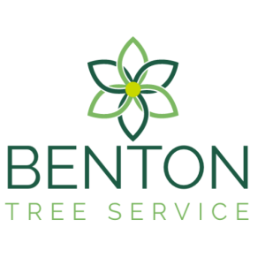 cropped-BentonGreen.png cropped-BentonGreen.png